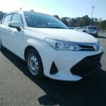 2019 Toyota Axio – White — additional photo