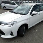 2019 Toyota Axio Hybrid G – Pearl White — additional photo