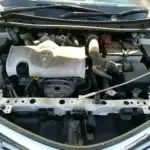 2019 Toyota Axio – White — additional photo