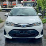 2019 Toyota Fielder Hybrid F Package – Pearl White — additional photo